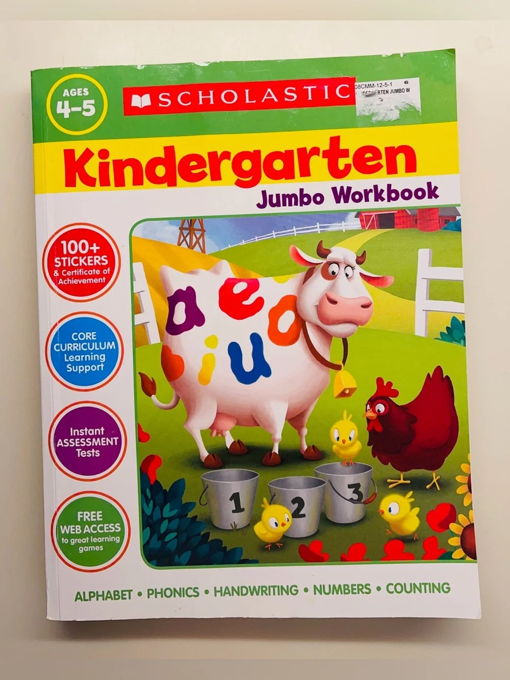 TWO Scholastic Kindergarten and First Grade Jumbo Workbooks